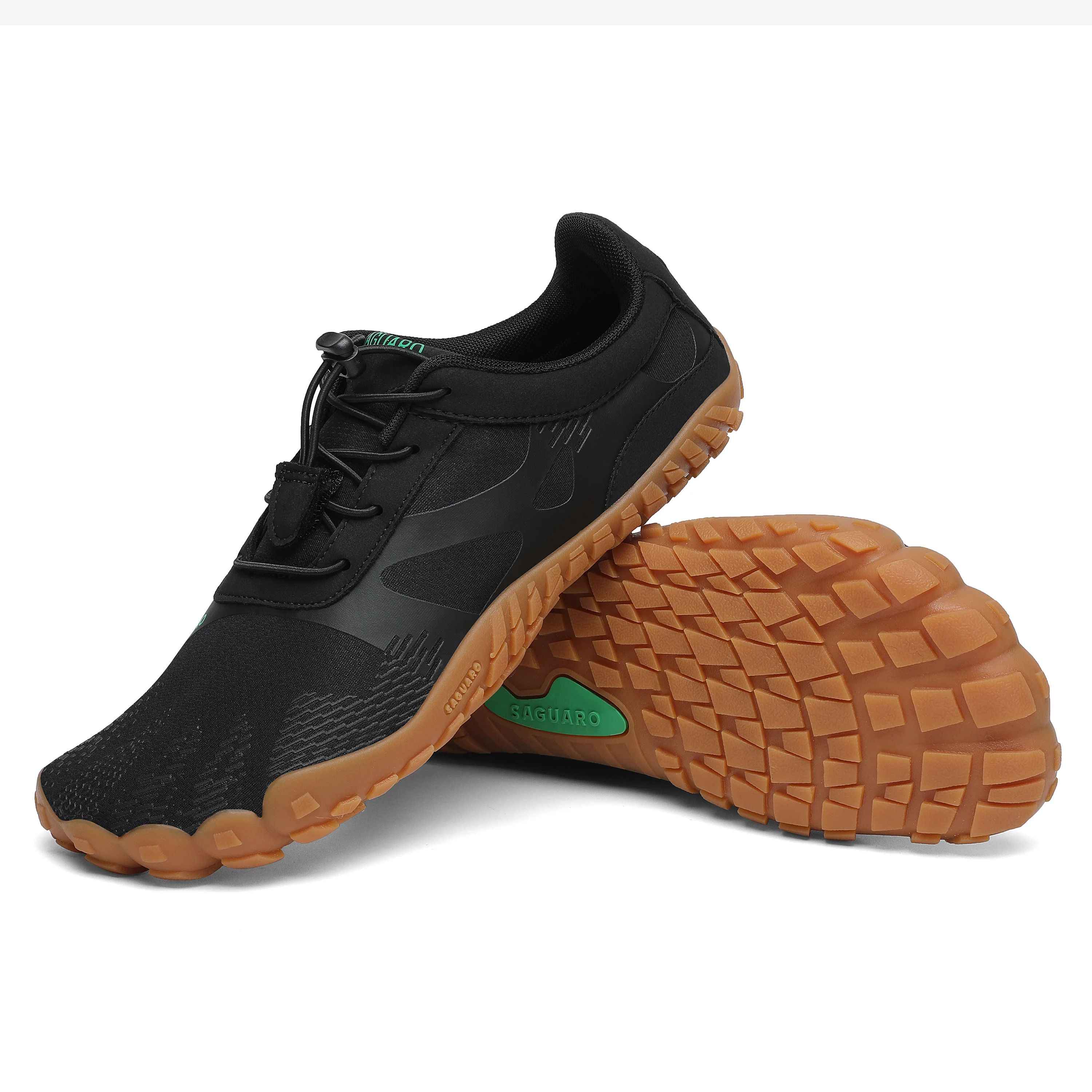 Saguaro Vitality - Image 16