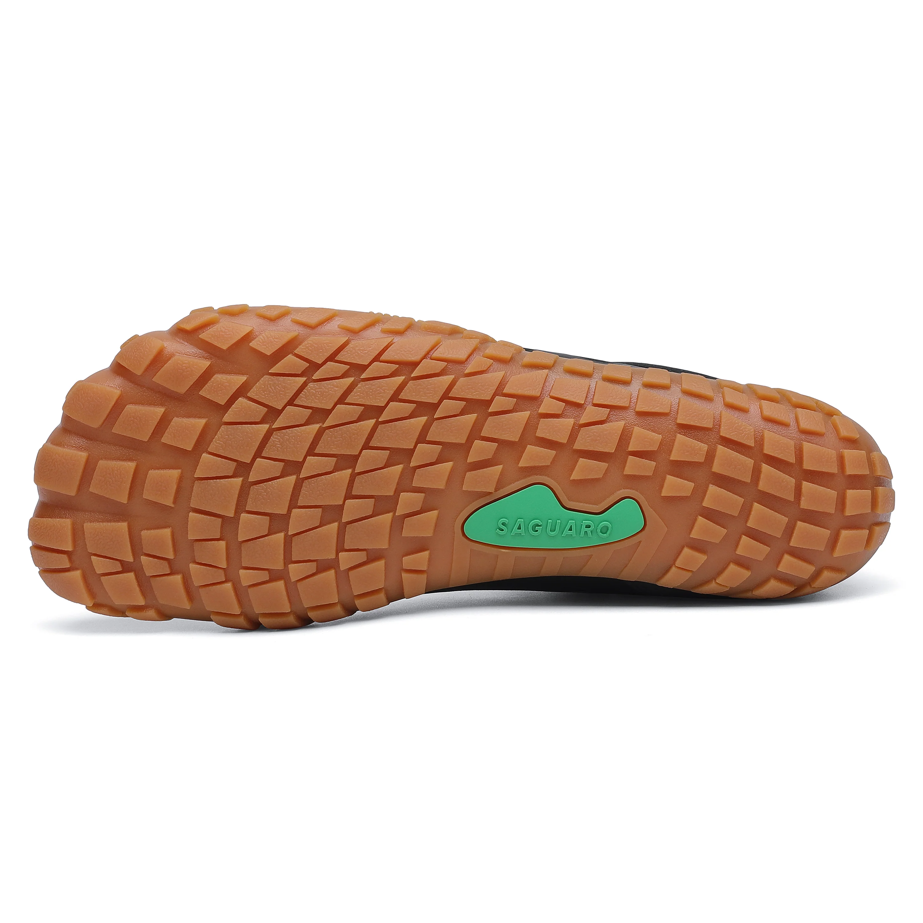 Saguaro Vitality - Image 17