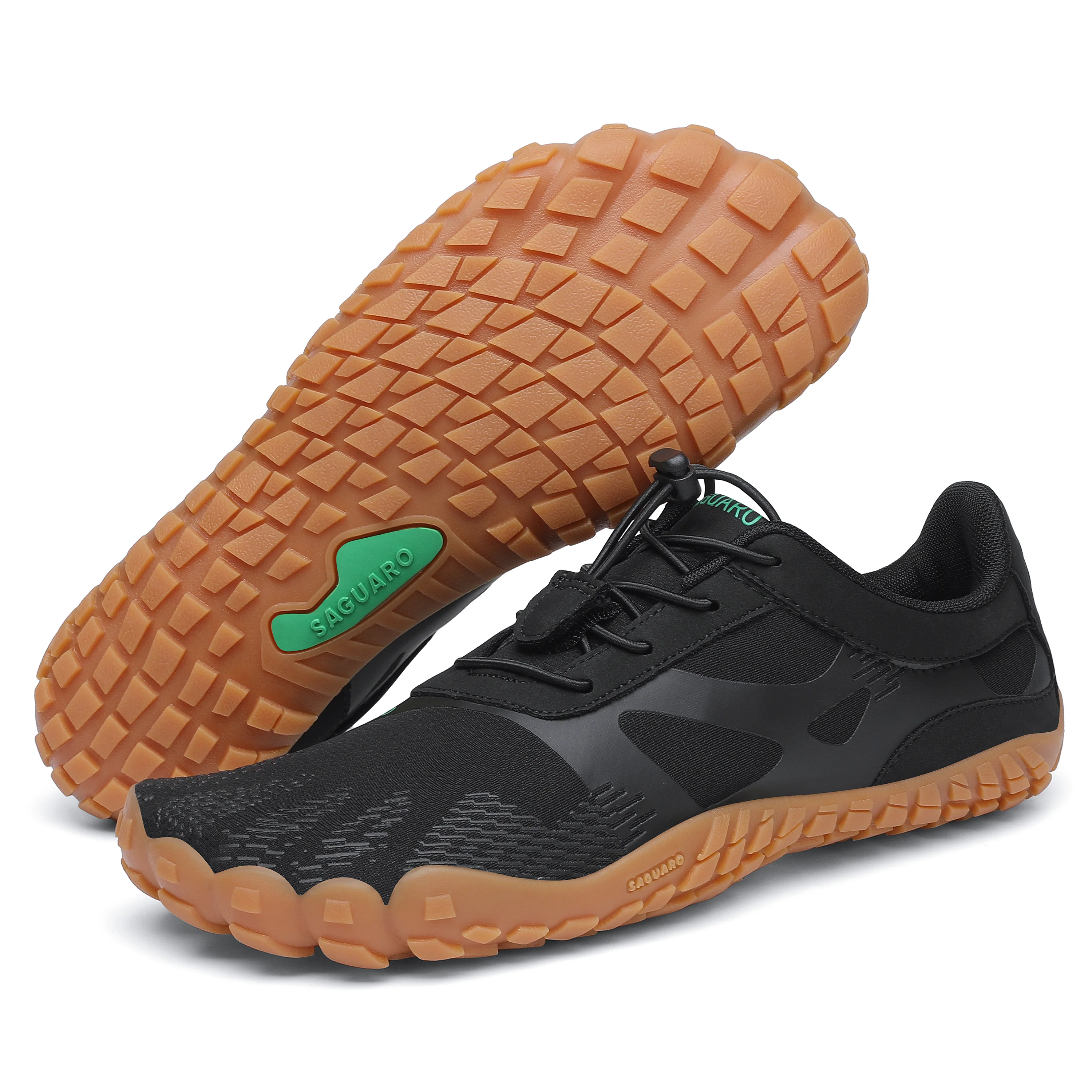 Saguaro Vitality - Image 20
