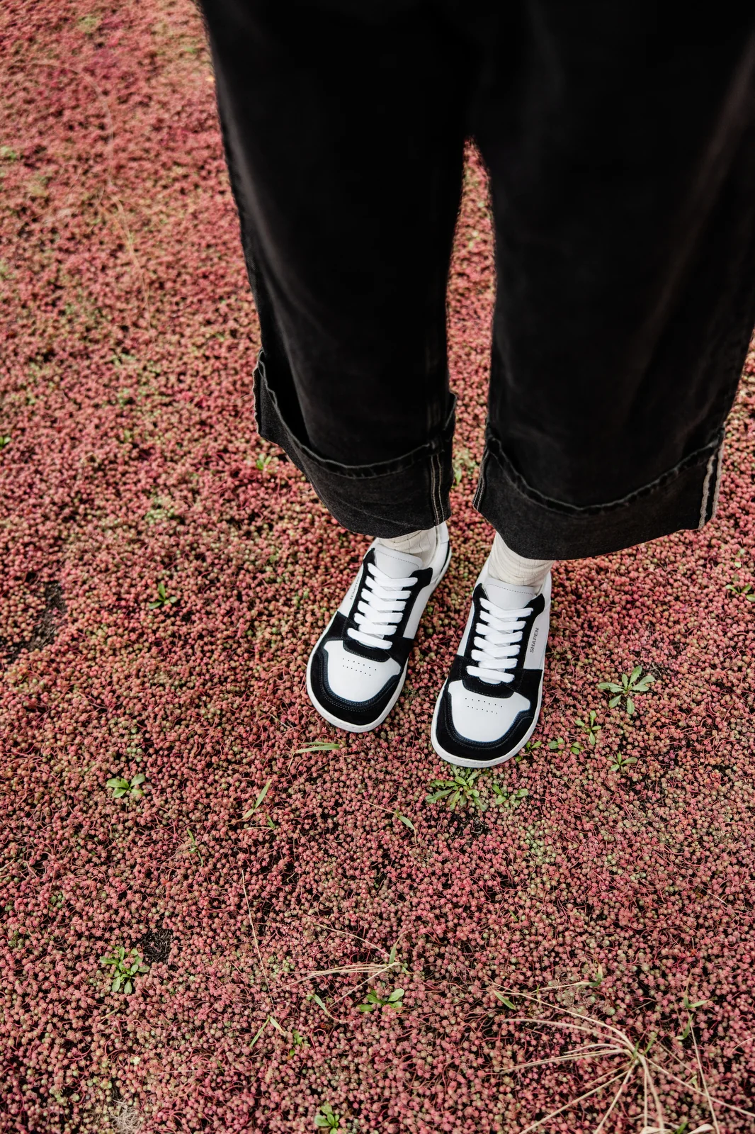 Shapen Rewind - Barefoot Sneakers - Image 3